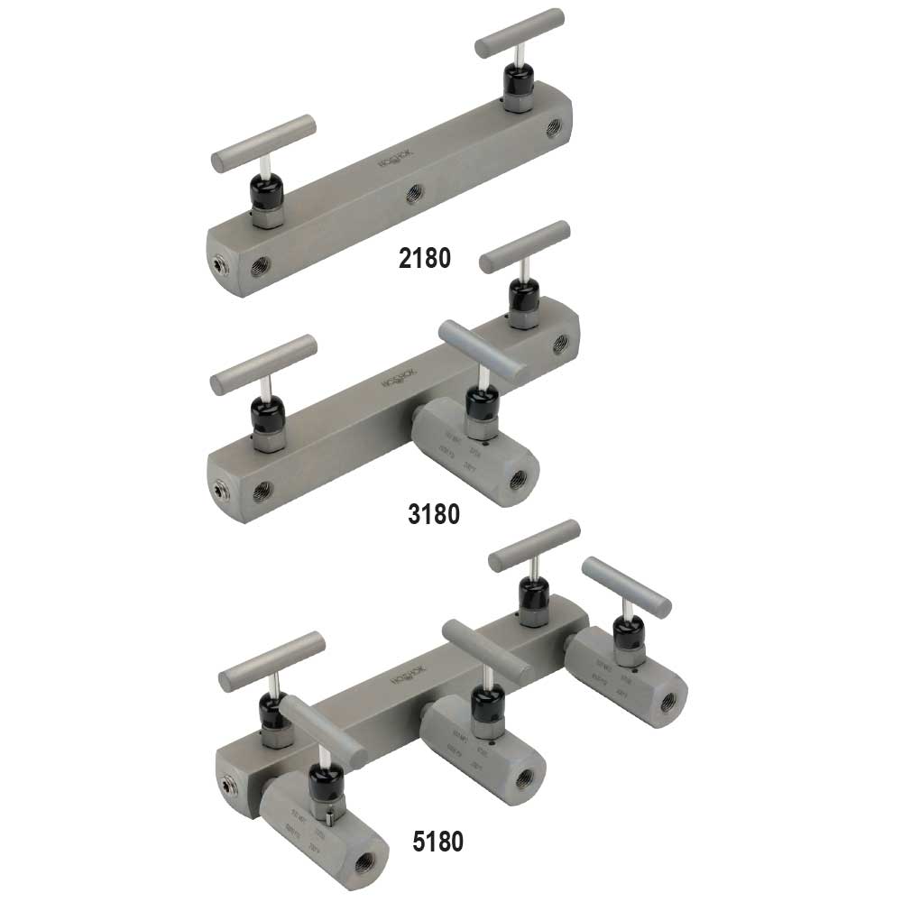 Manifold 2180 Series